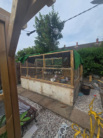 ****Rehoming Place****