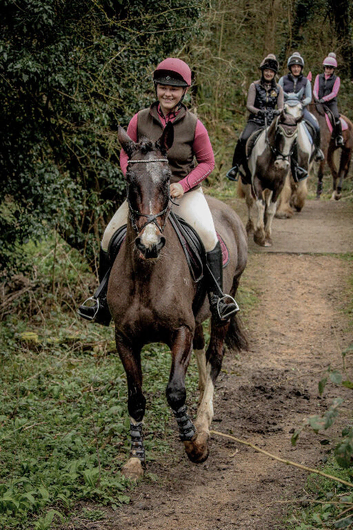 SOOTY 16.2hh 14 years old mare