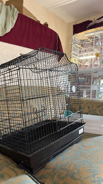 Cage for finches