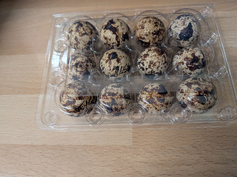 Fertile Italian Quail Hatching Egg's