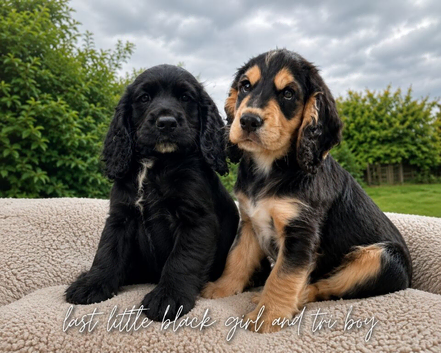 Only 1 little boy and 1 little girl left