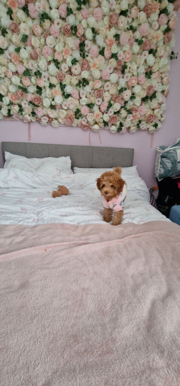 Tiny girl