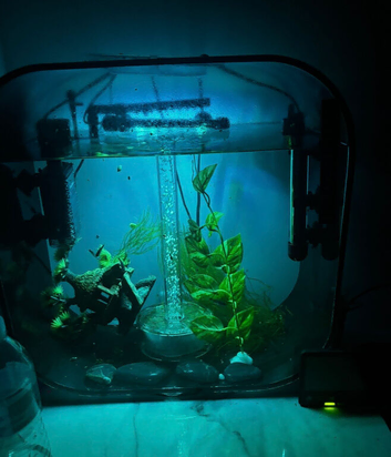 Fish tank for sale