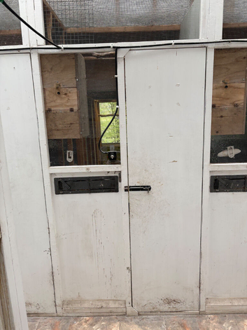 Parrot Aviary flight fronts