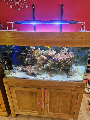 Marine setup complet ready to go