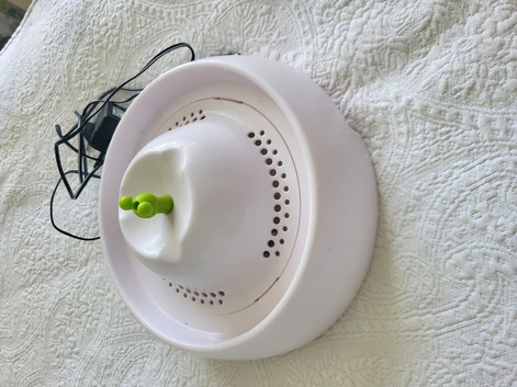 Electric Water Fountain
