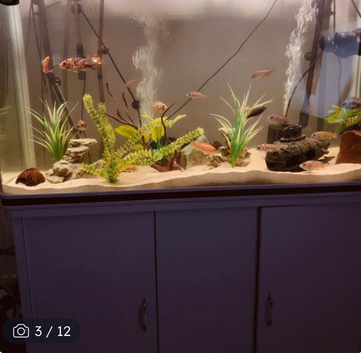 Full setup