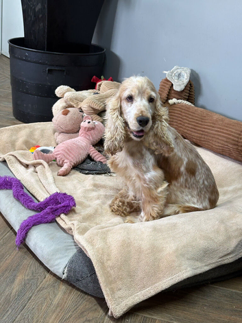 Winnie is looking for her retirement home
