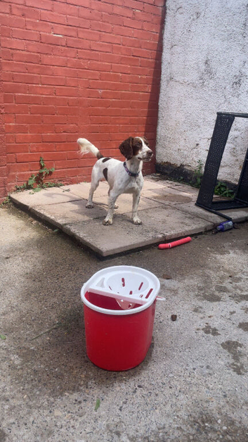 Ruby