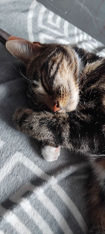 Mittens