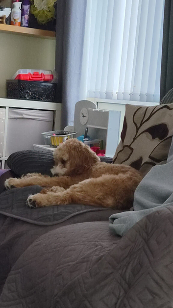 10 mths old