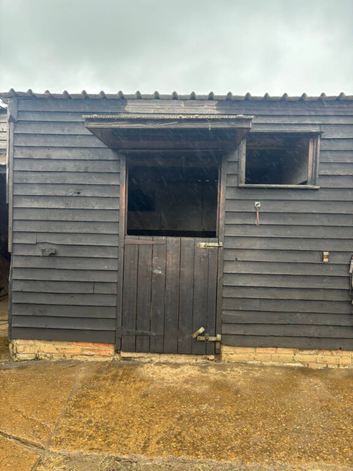 DIY livery for Mares in Dunstable LU6