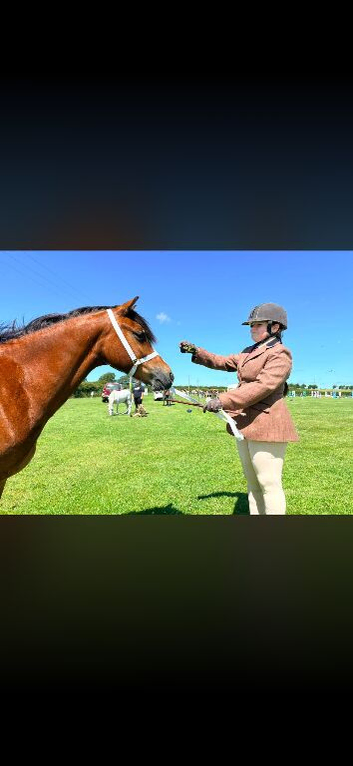 NON Ridden Companion pony