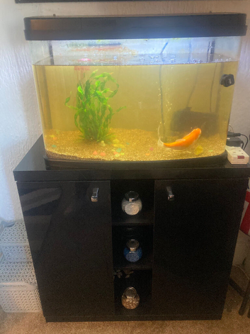 Fish tank and full setup