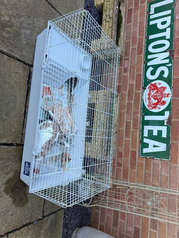 Benji Rabbit and his spare cage and hay