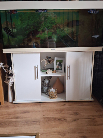 4ft Jewl fish tank set up.