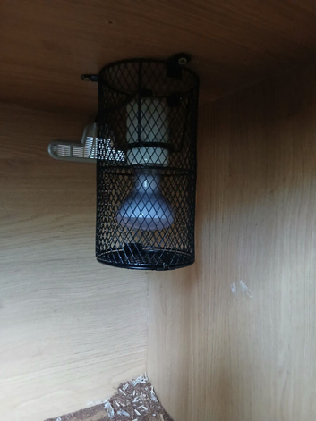 Vivarium and cabinet