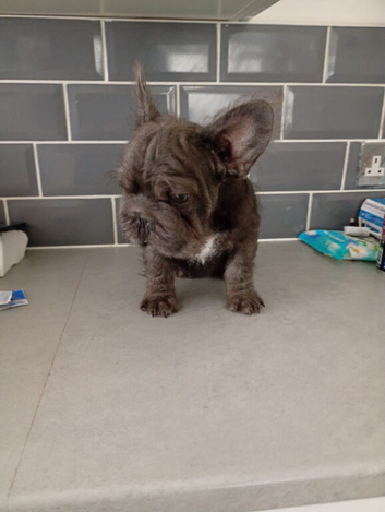 Big rope female with furnishing