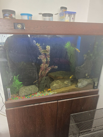 Full set up