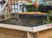 10 by 10 fish pond plus set up