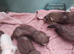 Kits