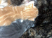 3 kittens for sale very fluffy, playful and cuddly one grey and white one ginger and one cream colour kitten