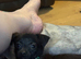 Young tiny cross breed male