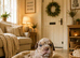 ️️READY TO LEAVE ️ OLDE ENGLISH BULLDOG ️