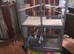 Large parrot carge