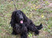 Beautiful boy