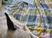 Rehome