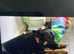 German Shepard