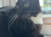 Luna, Rehoming