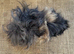 Lunkarya Boar ~ 14 Weeks old