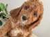 Beautiful Cockapoo puppies looking for loving homes! ️