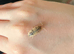 10 dairy cow isopods