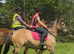 Stunning Highland x Happy hacker gelding 15h 7 yrs old