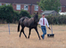 Mare with all the wow factor to make top level