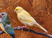 Mixed canaries