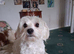 Milly
