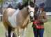 Striking boy oozing potential CHAPS registered