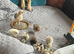Vaccinated Female Hy-Line Chicks