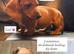 1 boy 1 girl ready to leave miniature dachshunds