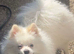 Gorgeous loving boy