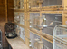 24 Breeding cages