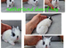 Netherland dwarf babies available for reserve