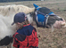 Sad sale 2 year old Traditional Cob