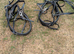 Tedman cob pairs breast plates complete with traces and clips.