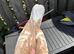 2 Meulemans pigeon