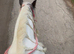 WANTED:loan pony for intermediate rider